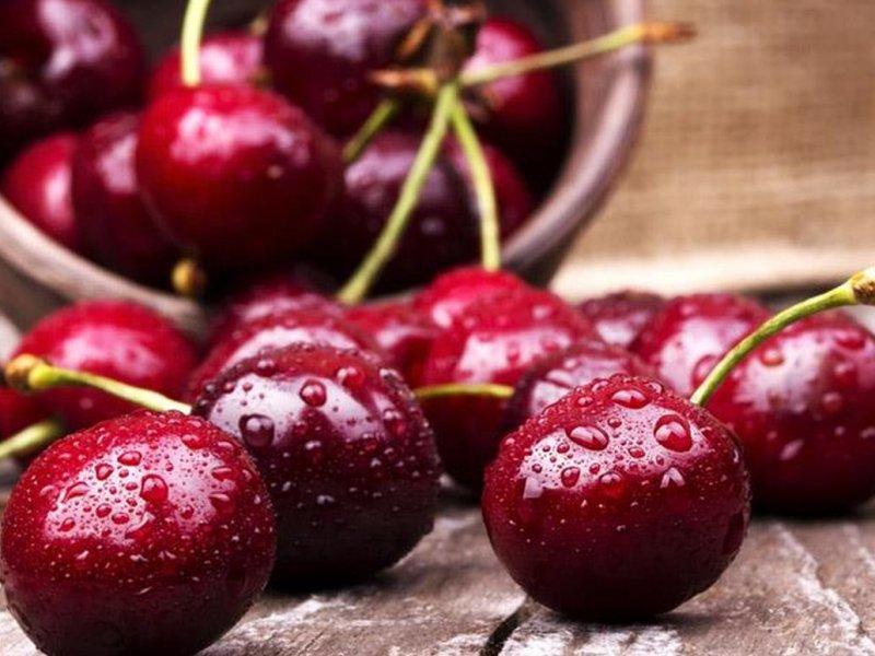 Вишня купить саженцы из питомника в Новотроицке